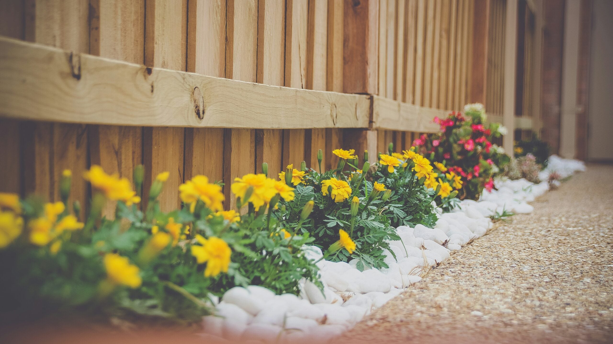 Planting the Seeds for a Great Career: Opportunities in the Landscaping Industry